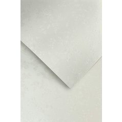 ozdobný kartón A4 220g floral white