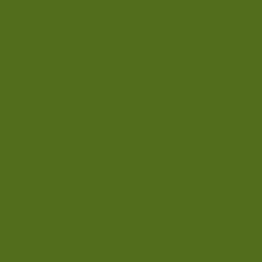 papier IRIS VIVALDI 185 gsm A4 89-khaki green