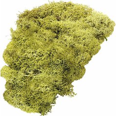 mach islandský 250g lime green