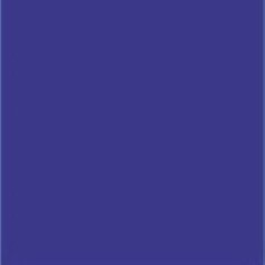 papier IRIS VIVALDI 170g A4 atramentový